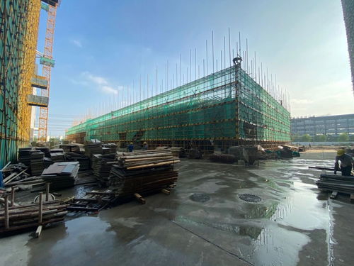 世友工業城 輕工智能裝備園工程進度現場直擊